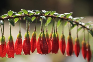 肇庆端州区6私人快速借钱网，轻松解决资金难题