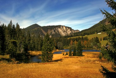 肇庆端州区6民间私贷攻略：揭秘低成本借贷的秘密