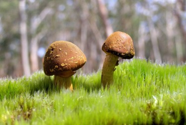 肇庆端州区6私人老板放款：轻松融资的秘密通道